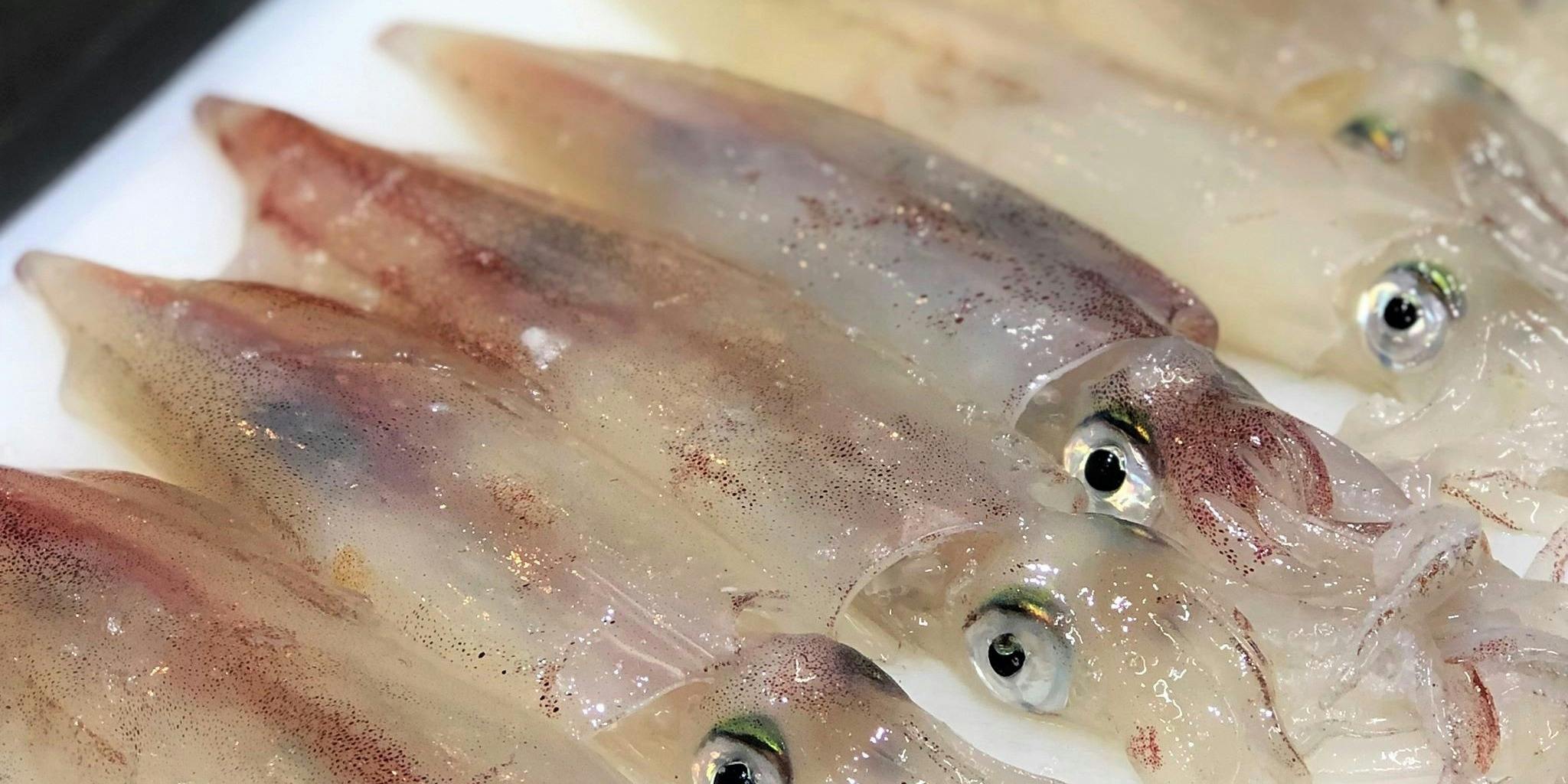 うちげの料理 八塩（ヤシオ）