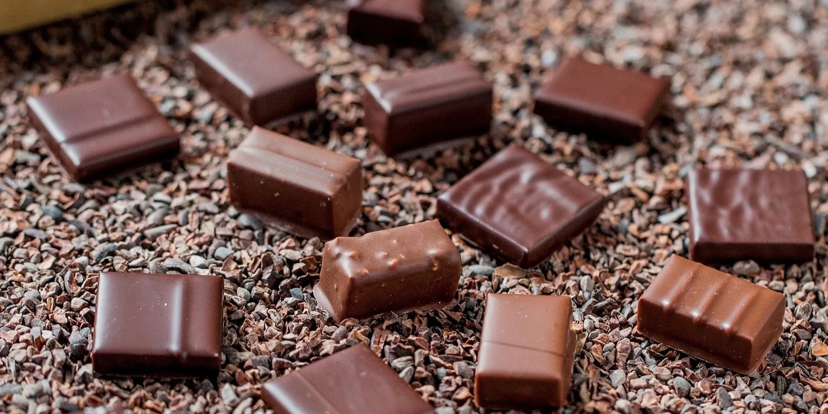 Le Chocolat Alain Ducasse 東京工房 ル ショコラ アラン デュカス トウキョウコウボウ 三越前 カフェ 一休 Comレストラン