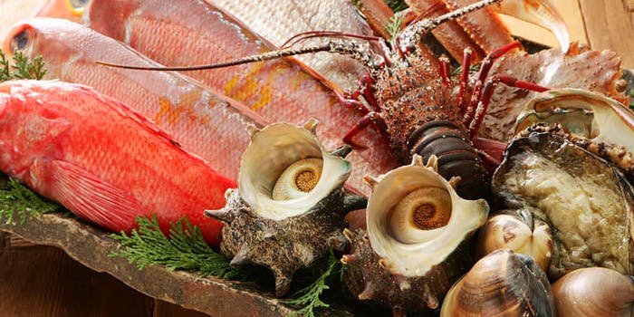 銀座おか乃 - 画像9