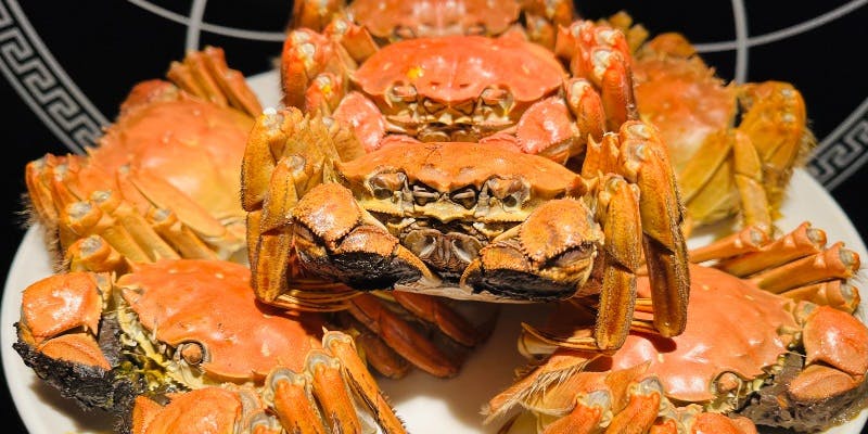 【上海蟹特撰コース】上海蟹の姿蒸し2匹 ふかひれの壺煮込み 上海蟹味噌スープそば 全9品