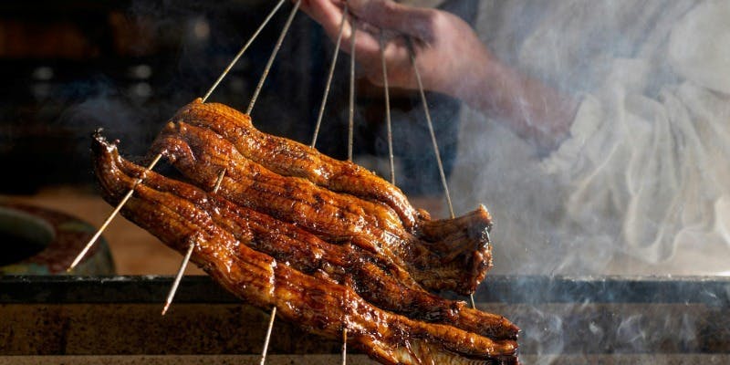 【特別価格】国産太鰻（ふとうなぎ）の鰻重メイン、季節の先付、旬魚の刺身、甘味のコース＋上（1.5尾）