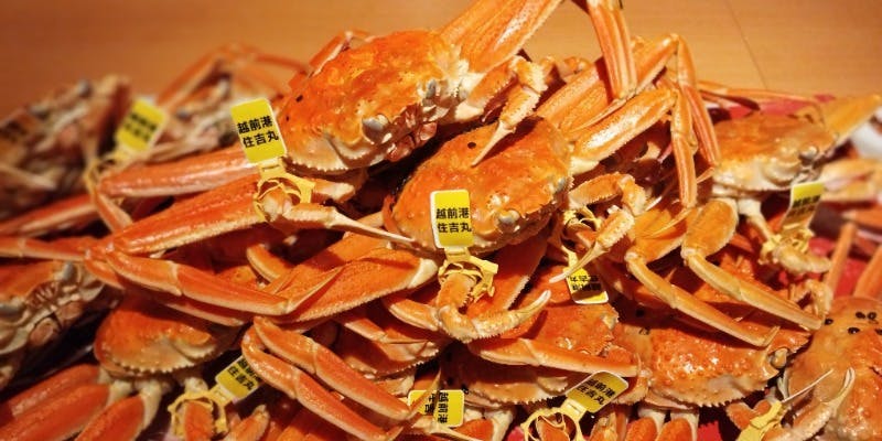 「セイコ蟹、トリュフを削ったとらふぐ白子天ぷら、トリュフ土鍋」 冬の特別コース