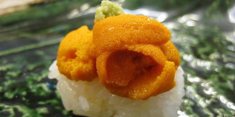 寿し 花ざくら - 画像16