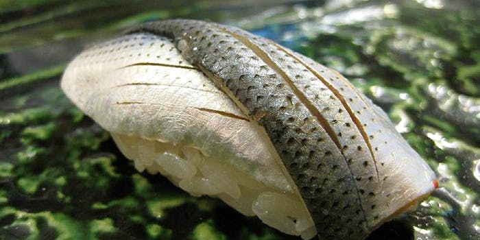 寿し 花ざくら - 画像7