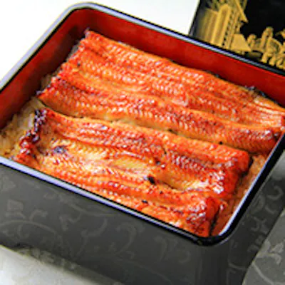 いづもやの鰻