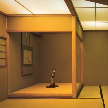 �Ȃ��� �{�X �R���ԑ��^�z�e���j���[�I�[�^�j