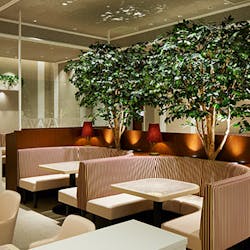 ランチ カフェ ヴァヴァ Cafe Vava 日本橋 カフェ 一休 Comレストラン ランチ カフェ ヴァヴァ Cafe Vava 日本橋 カフェ 一休 Comレストラン