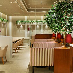 カフェ ヴァヴァ Cafe Vava 日本橋 カフェ 一休 Comレストラン カフェ ヴァヴァ Cafe Vava 日本橋 カフェ 一休 Comレストラン