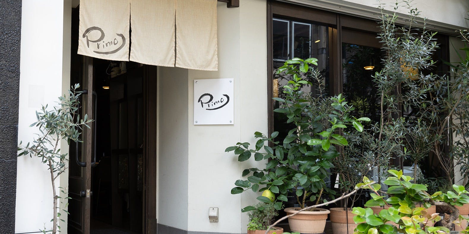 PRIMO - 画像4
