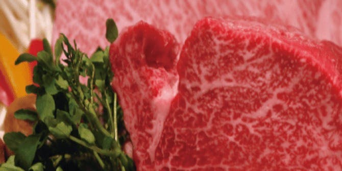 福寿館 本館レストラン - 画像7