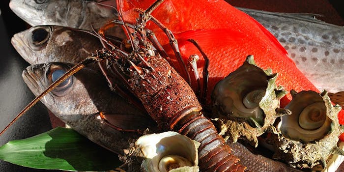 Qozmjdeqw5gbam Qozmjdeqw5gbam