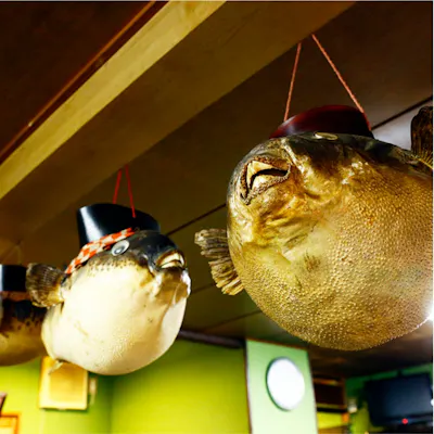 店主「木村 幸司」