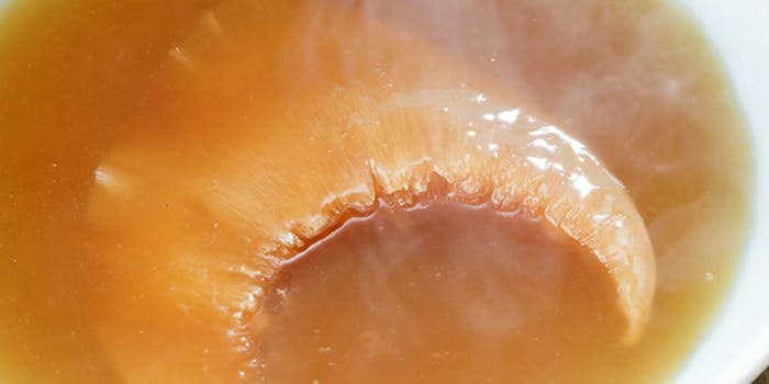 オーパスワン - 画像7