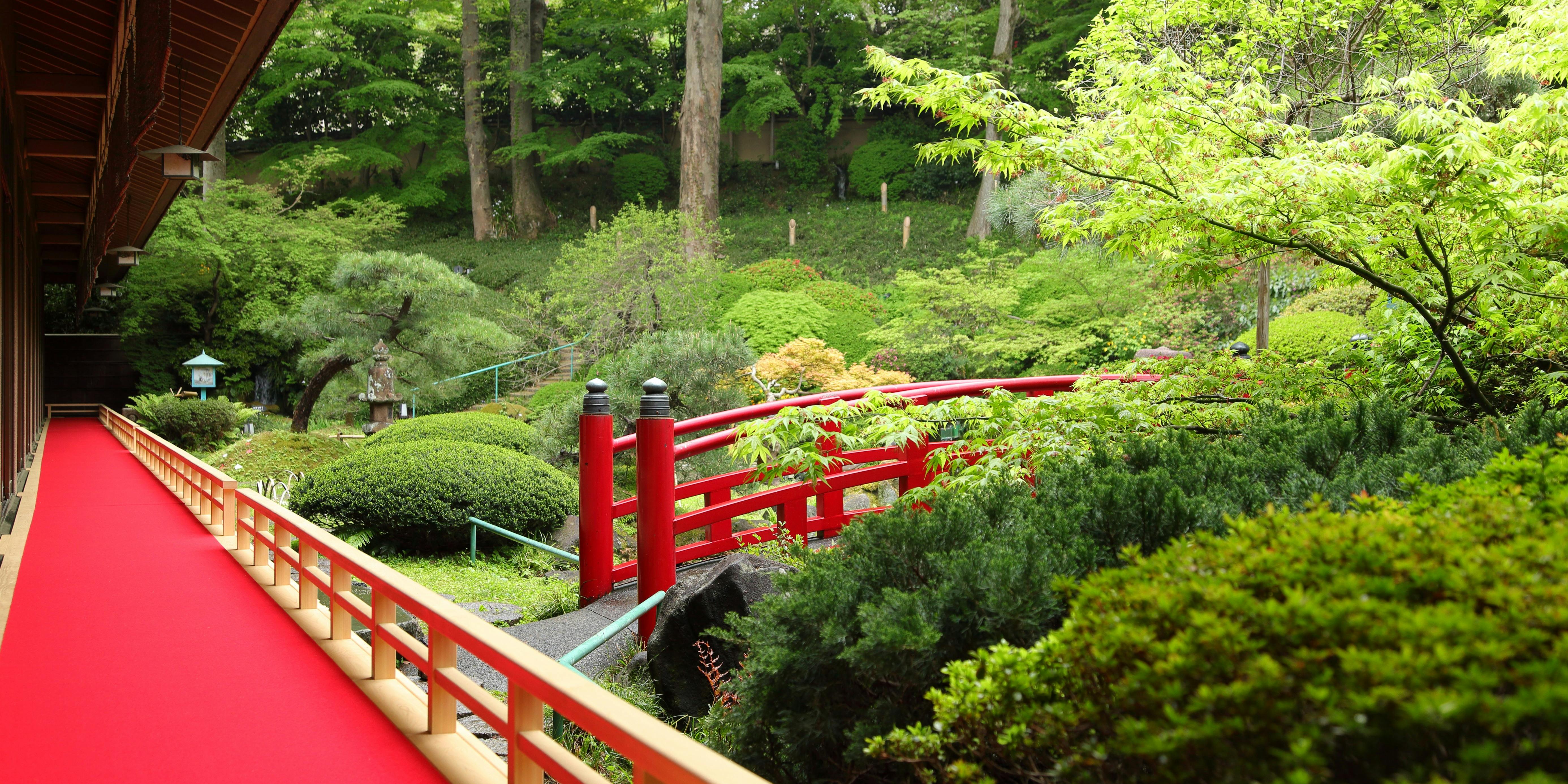 懐石 鶯啼庵 - 画像5