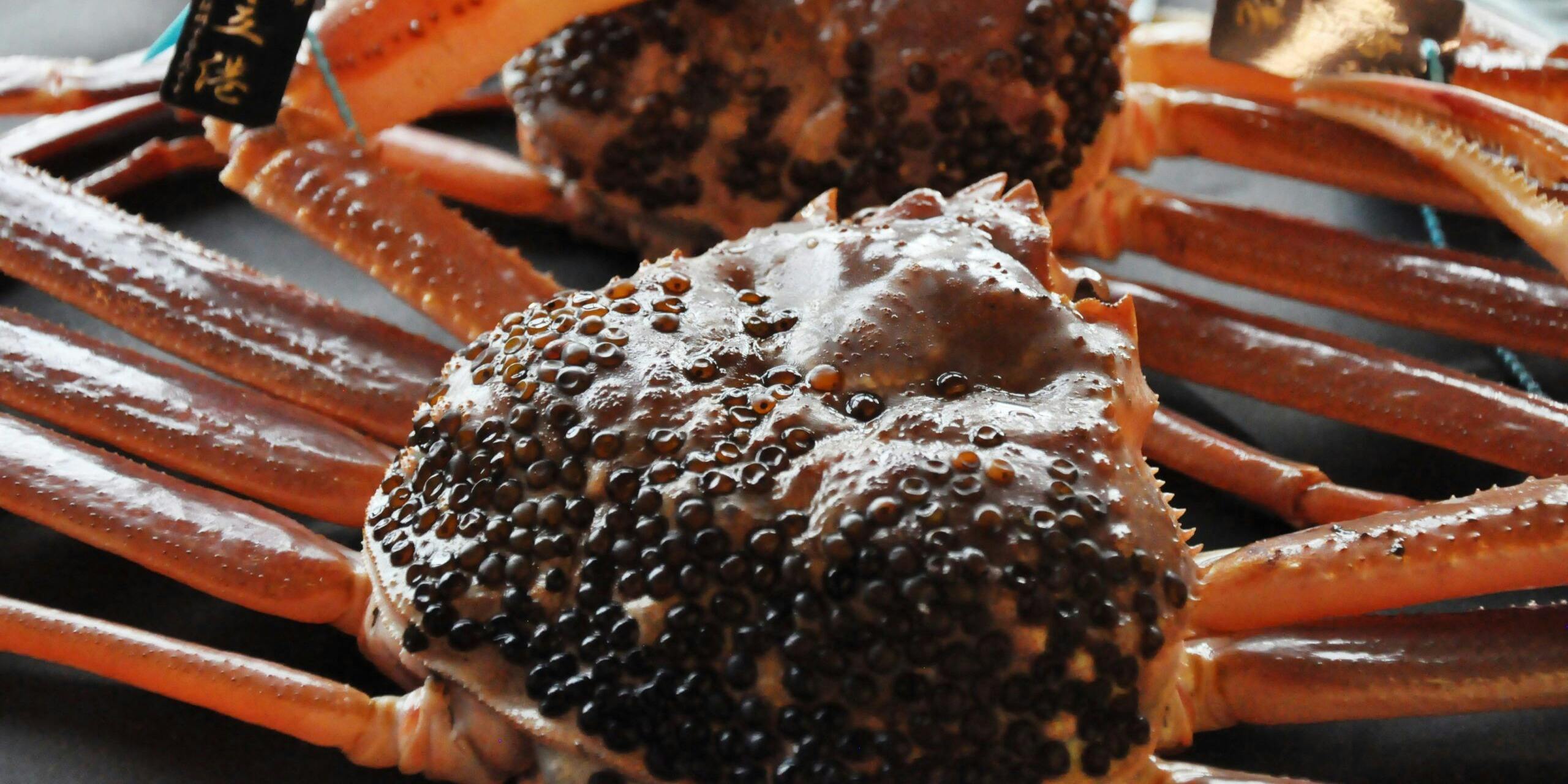 博多 なだ万 - 画像13