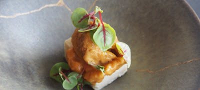 22年 最新 豊中の美味しいディナー12店 夜ご飯におすすめな人気店 一休 Comレストラン 22年 最新 豊中の美味しいディナー12店 夜ご飯におすすめな人気店 一休 Comレストラン