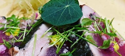 D9flowm7gm0amm D9flowm7gm0amm