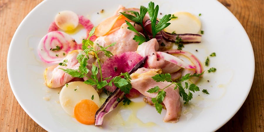 GAZZO（ガッツォ）