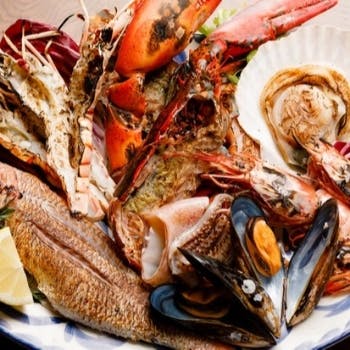 �N�b�`�[�i�E�A���o �����K�[�f���e���X