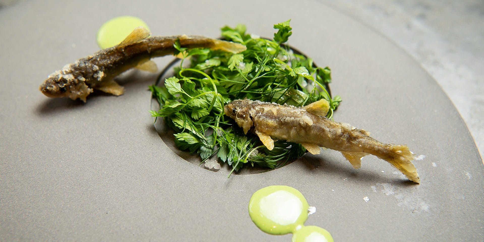 RESTAURANT SALT（レストラン ソルト）