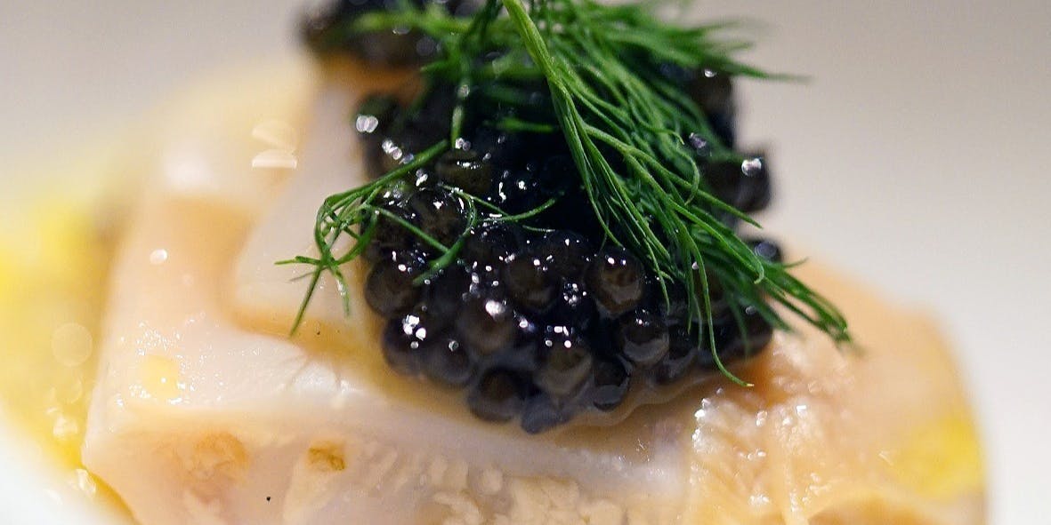 メルモーゾ ダ ドロカワ - 画像17