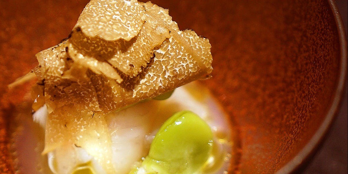 メルモーゾ ダ ドロカワ - 画像15