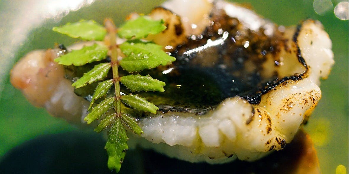 メルモーゾ ダ ドロカワ - 画像14