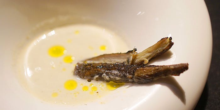 メルモーゾ ダ ドロカワ - 画像7