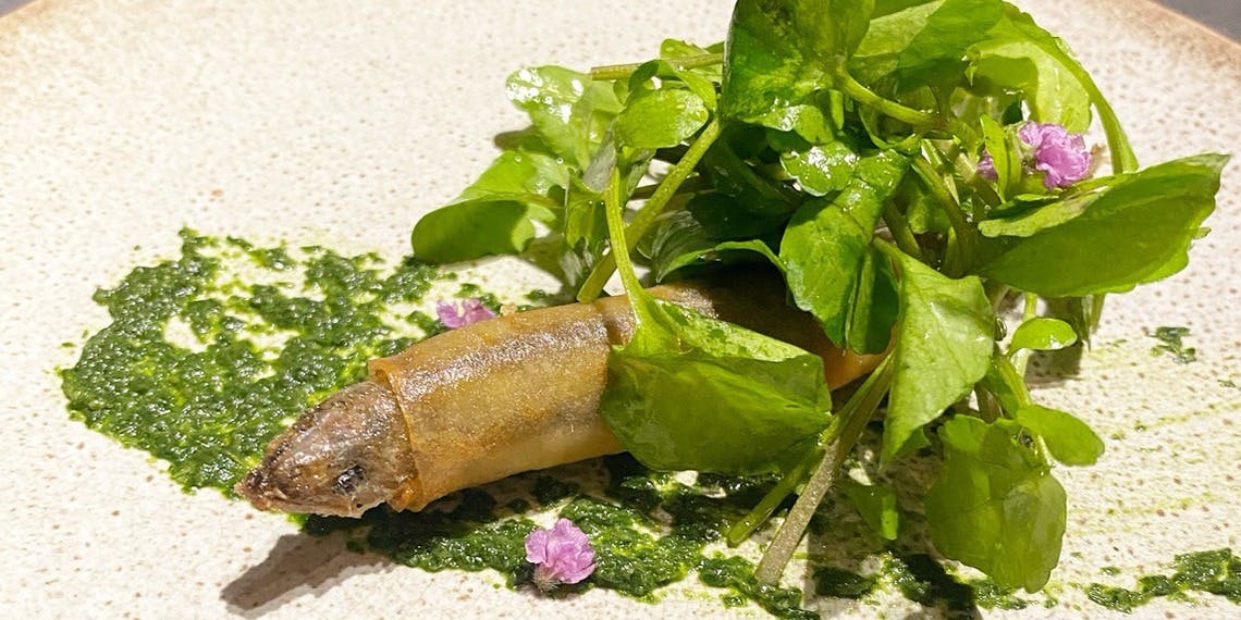 メルモーゾ ダ ドロカワ - 画像4