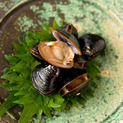 全国各地から仕入れた上質食材