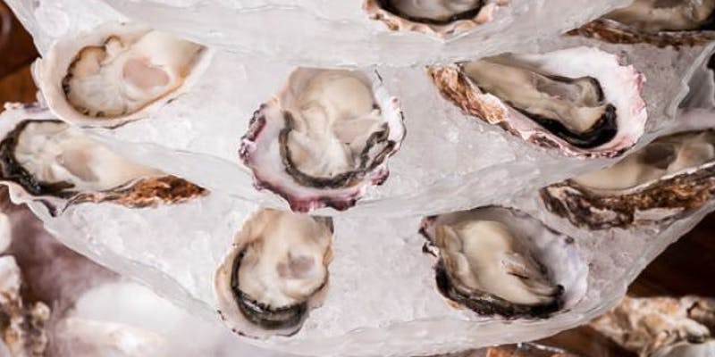 【カキ三昧コース】生牡蠣3種食べ比べ・焼き牡蠣・牡蠣のパスタなど全7品