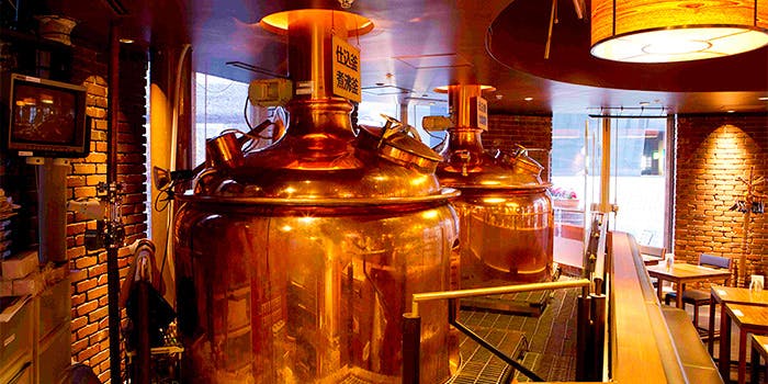 TOKYO隅田川ブルーイング - 画像3