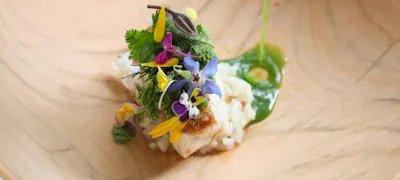 伊豆高原駅周辺の美味しいランチ27店 おしゃれ人気店 絶品ランチグルメ 22年 一休 Comレストラン 伊豆高原駅周辺の美味しいランチ27店 おしゃれ人気店 絶品ランチグルメ 22年 一休 Comレストラン