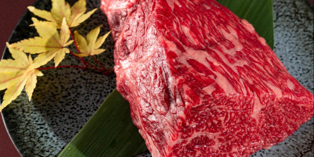 煌 KIRAMEKI - 画像14