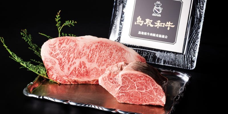 【ステーキコース】鳥取和牛から鳥取県産氷温熟成きぬむすめまで料理全7品
