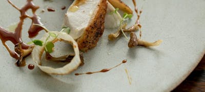 造幣局桜の通り抜け周辺ランチ22 おすすめ 絶品お昼ごはん14選 一休 Comレストラン 造幣局桜の通り抜け周辺ランチ22 おすすめ 絶品お昼ごはん14選 一休 Comレストラン