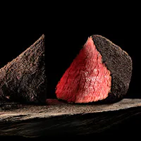 “Evolve with the Forest” 森とともに生きる