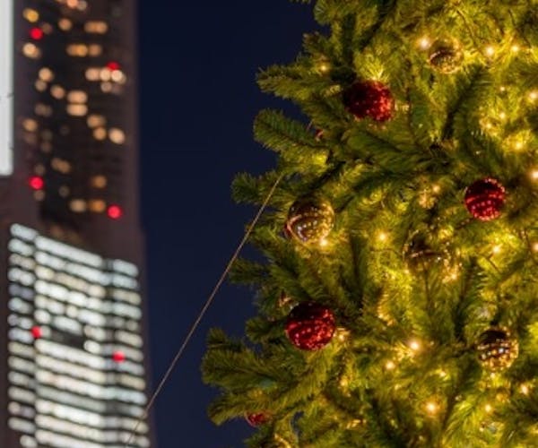 クリスマス ディナー 馬車道倶楽部 Okaimonoモール レストラン