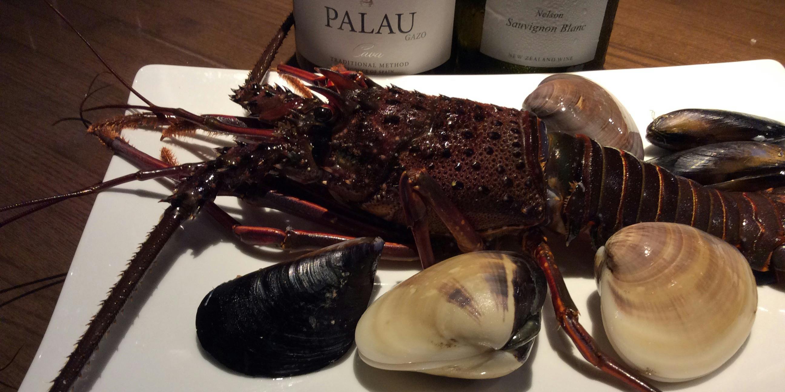 ラ・ステッラ・ポラーレ（La Stella Polare）