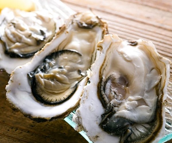 ビュッフェ ブッチャー リパブリック 神保町 オイスター クラフトビール Okaimonoモール レストラン