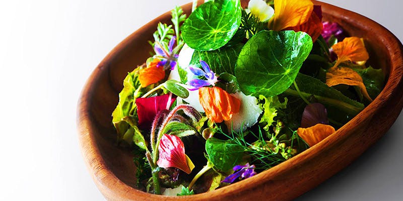 ル・ニコ・ア・オーミナミ（LE NICO a Ominami）