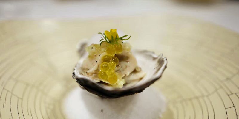 MAISON LAFITE（メゾンラフィット）