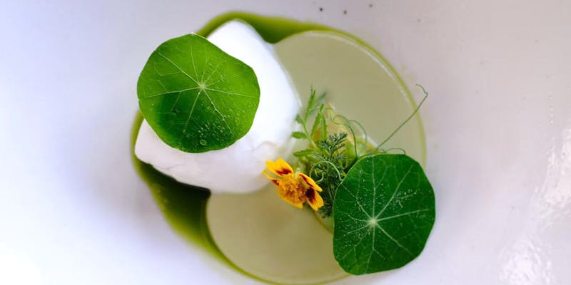 MAISON LAFITE（メゾンラフィット）