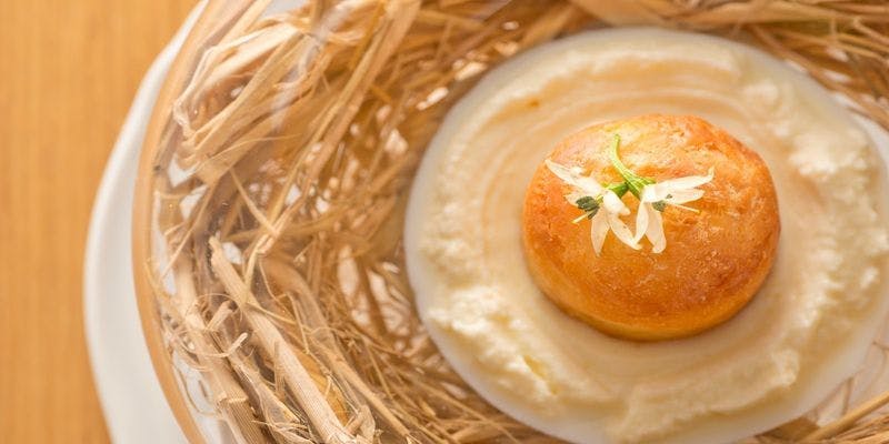 【スタジオーネ】冬を味わう！スペシャル料理、選べるパスタ＆メイン料理7品コース＋選べる乾杯ドリンク