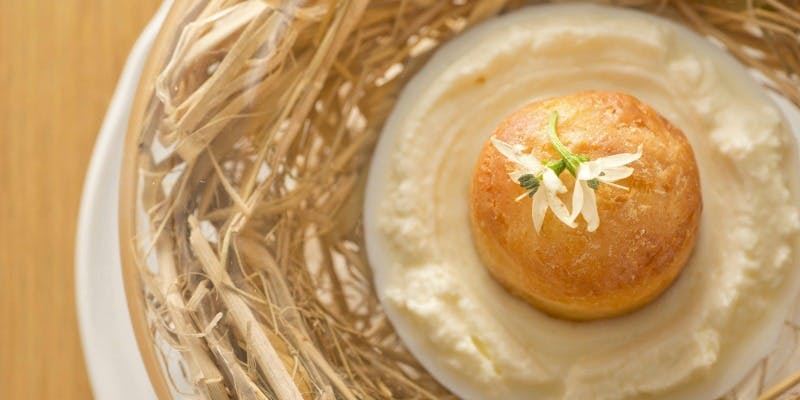 【スタジオーネ】冬を味わう！スペシャル料理、選べるパスタ＆メイン料理7品コース＋カフェお代わり自由