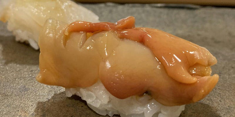 【本日のおまかせコース】その日の仕入によって構成する店主お任せコースです