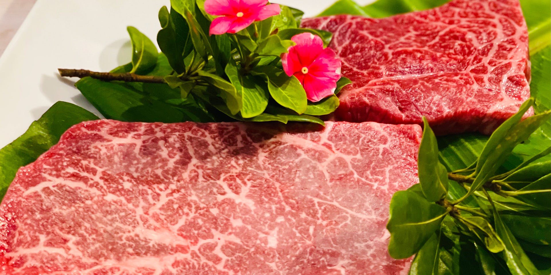 トラットリア　Jマリーナ - 画像4