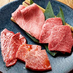 ディナー 二子玉川 まんぷく フタコタマガワ マンプク 二子玉川 焼肉 一休 Comレストラン ディナー 二子玉川 まんぷく フタコタマガワ マンプク 二子玉川 焼肉 一休 Comレストラン