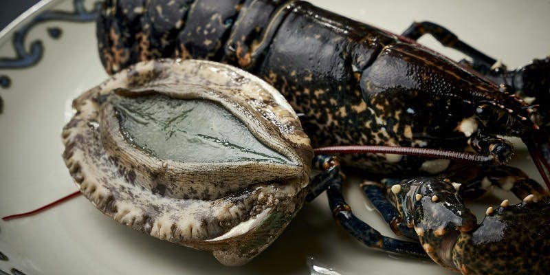 【DINNER Eclat】　選べる必食のオマールブルーと黒鮑　全7品　