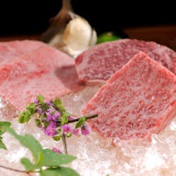 ディナー 雪月花たなかさとる セツゲッカタナカサトル 栄 名古屋 焼肉 肉料理 一休 Comレストラン ディナー 雪月花たなかさとる セツゲッカタナカサトル 栄 名古屋 焼肉 肉料理 一休 Comレストラン
